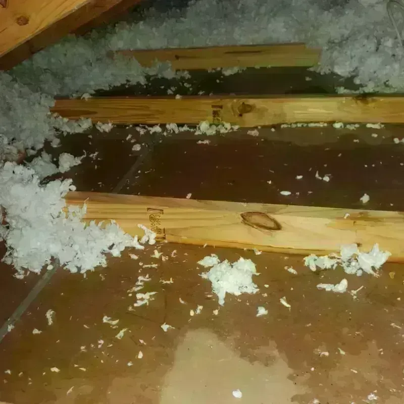 Attic Water Damage in Fairmont, IL