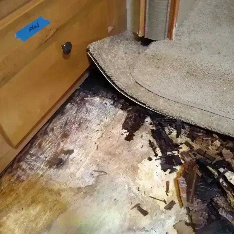 Wood Floor Water Damage in Fairmont, IL